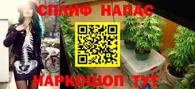 МДПВ Тула