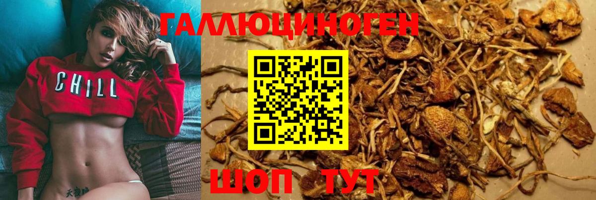 Псилоцибиновые грибы ЛСД Новоуральск
