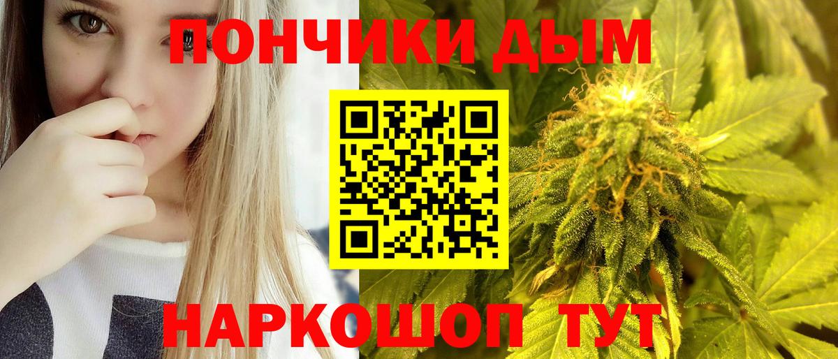 Канабис семена Новоуральск